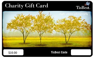 Great Ideas for Giving: Limited Edition Charity Gift Cards!