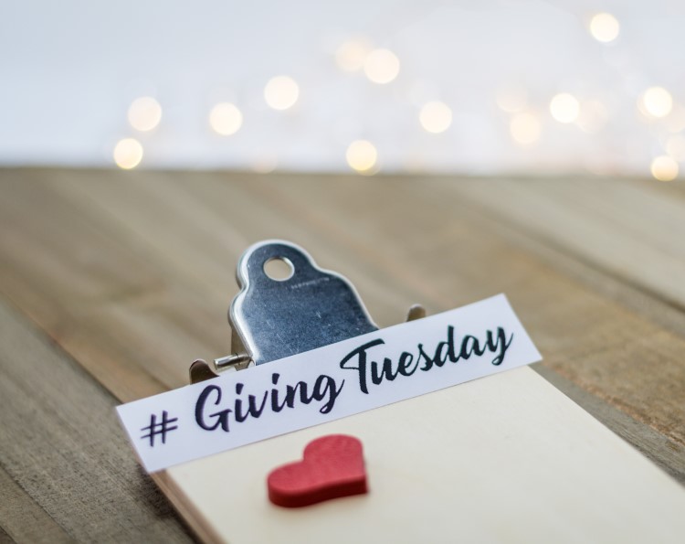 Giving Tuesday: 5 Questions to Ask Before Donating