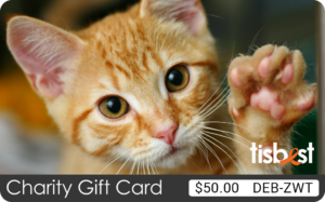 A TisBest Charity Gift Card featuring an adorable orange striped cat design.